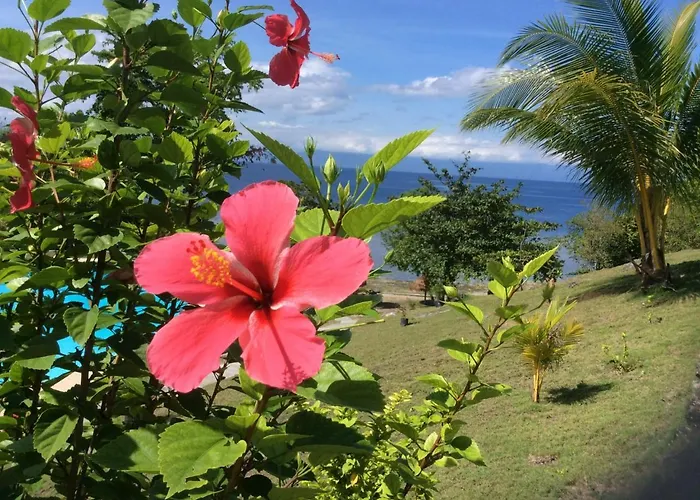 Cuestas Resort&restaurant Resort *
